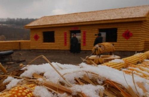 Chưa từng thấy trên thế giới: Dùng 20.000 bắp ngô xây cả trang trại ở TQ